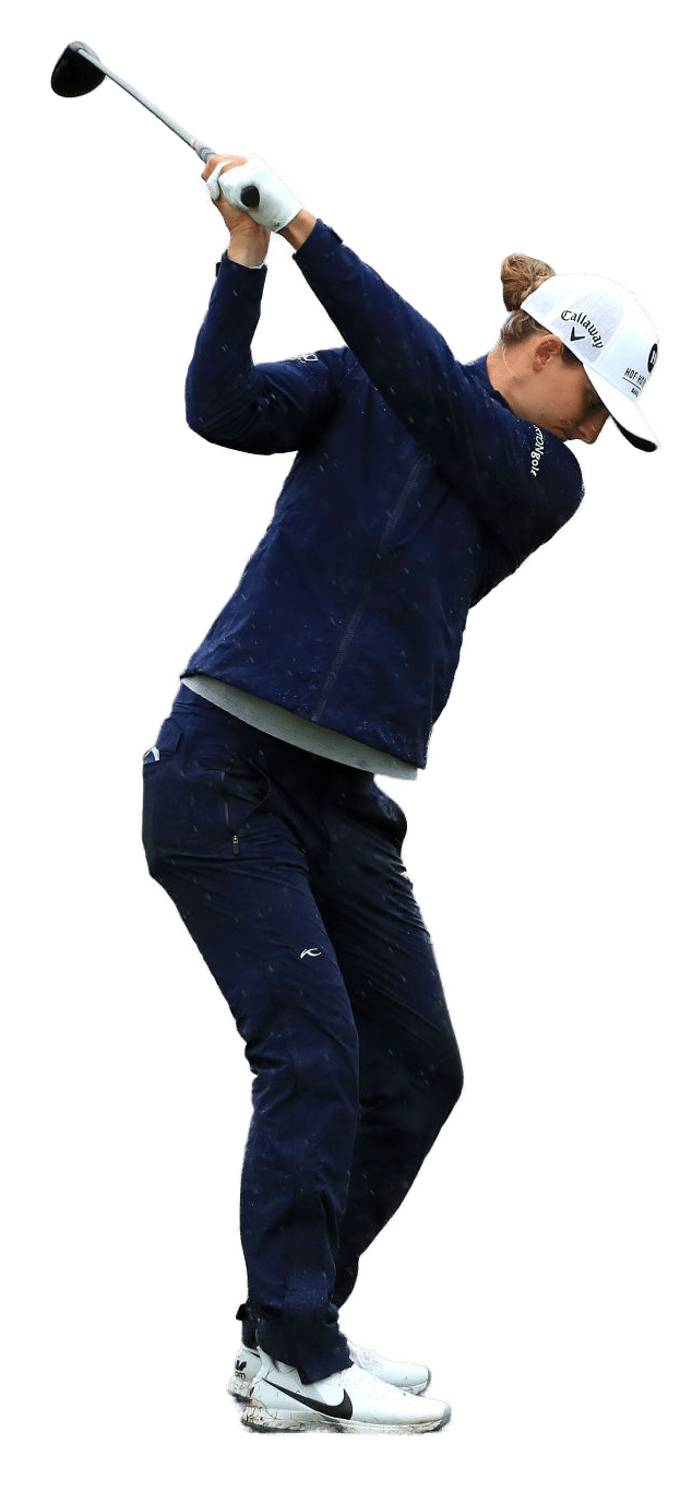 Anne Van Dam - Slider Swing